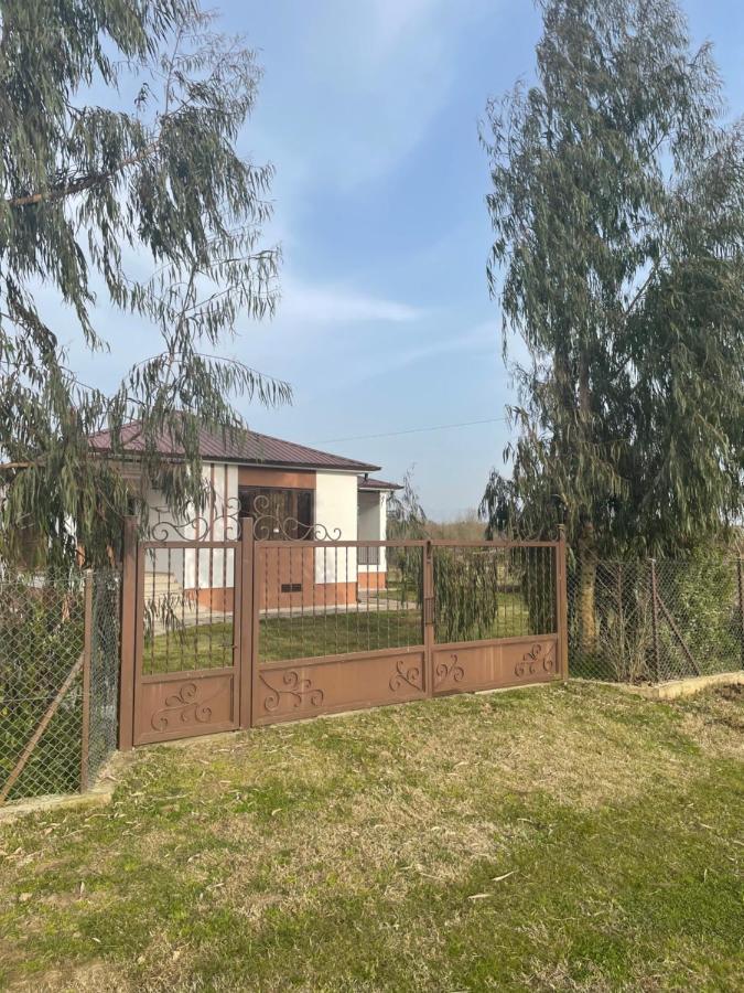 Apartment Comfort In Ureki Dış mekan fotoğraf